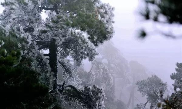 六安港港口吞吐量破历史记录