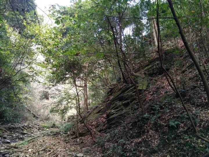农业银行(01288)提名鞠建东为独立非执行董事候选人
