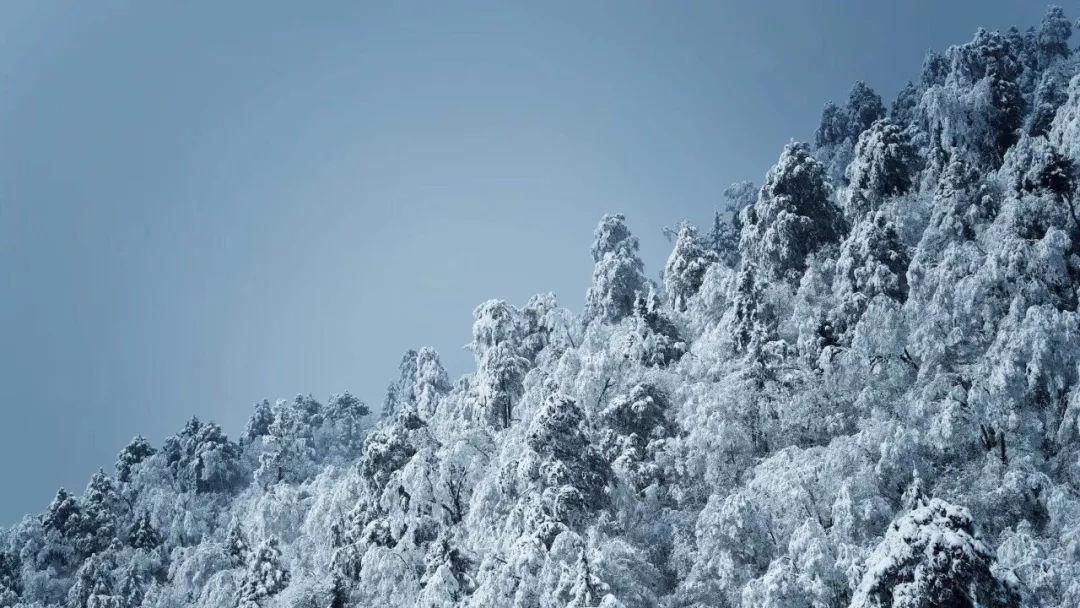 国医大师周信有,精研《内经》,研制出肝炎和冠心病中药新药