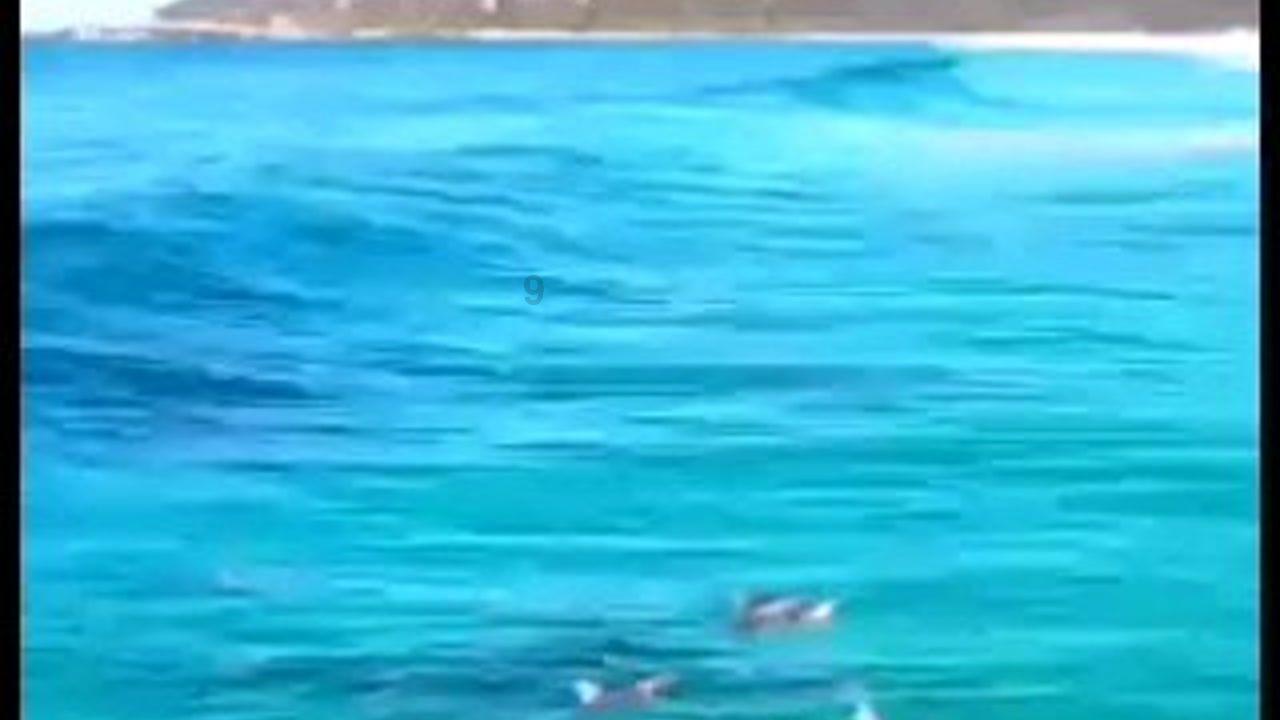 燃烧吧大脑装瓶子游戏