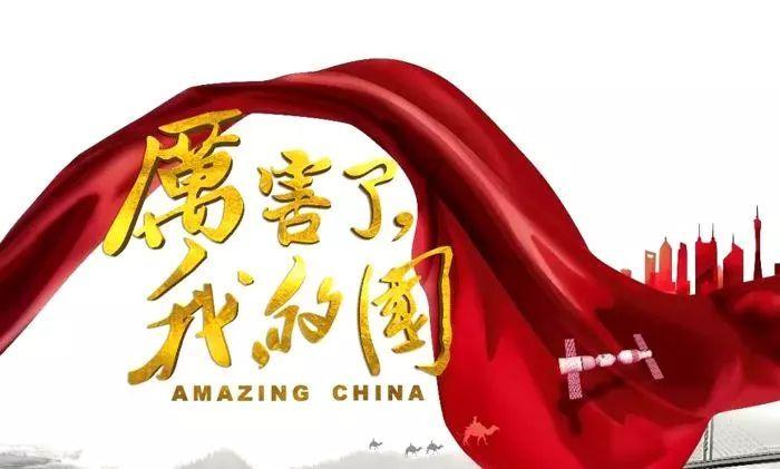 救援受困的小野猫