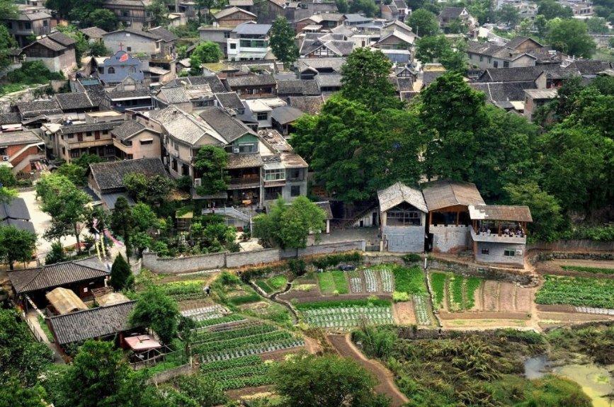逃离泰莱森林